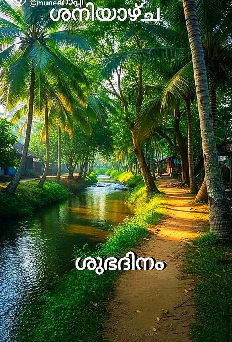 🦋 ആ ഒരാൾ 🦋 tweet media