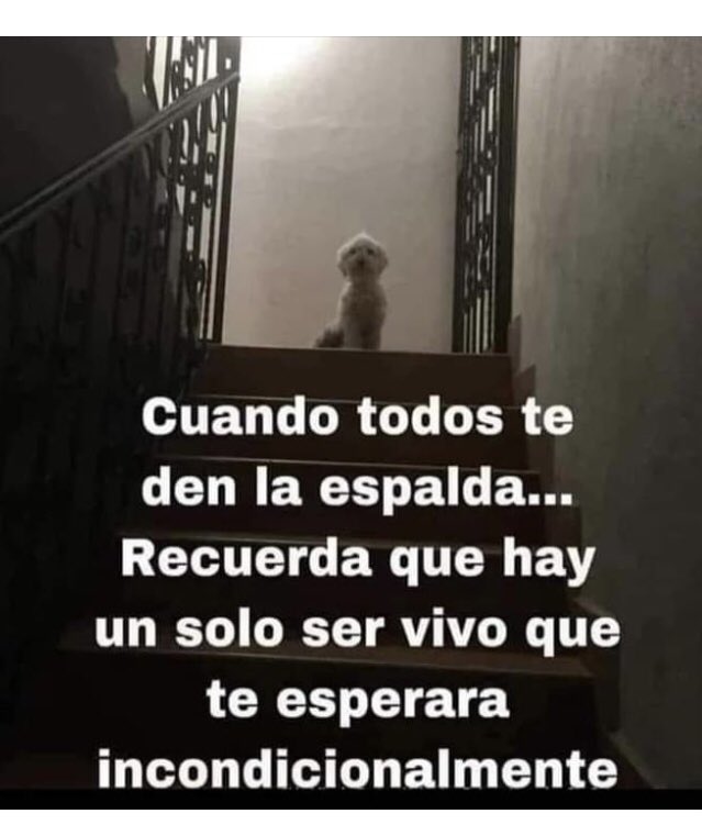 Guadalupe Ramirez tweet media