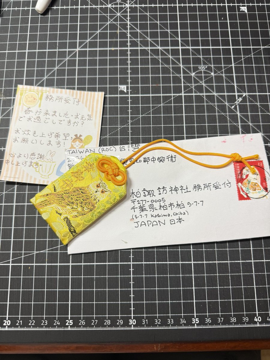 Kei's Bromeliads & 柏諏訪神社 tweet media