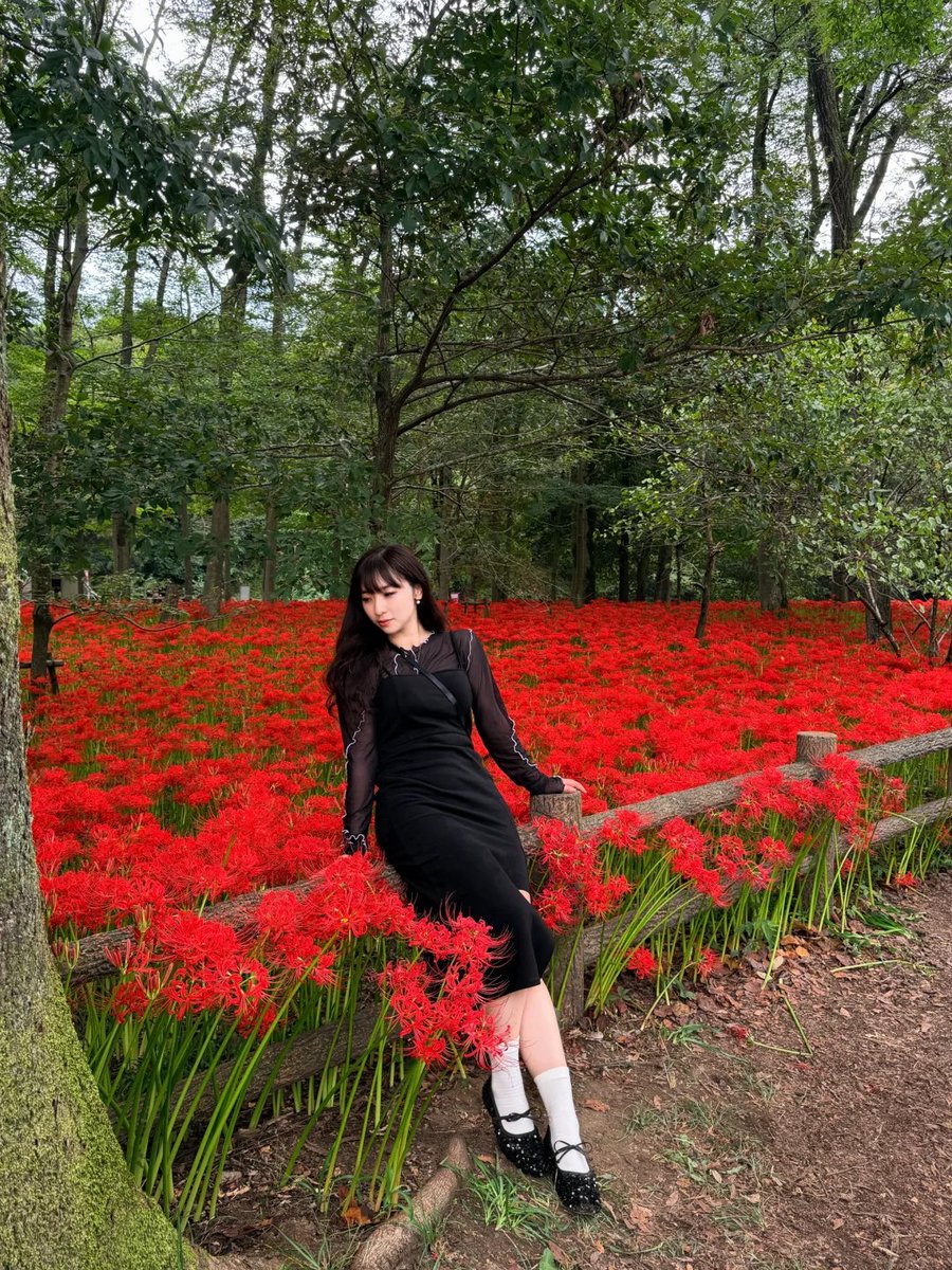 mothissel's tweet photo. 昔の写真なのに、やっぱりすごく雰囲気あるね😍 https://t.co/BStRbRnCa5