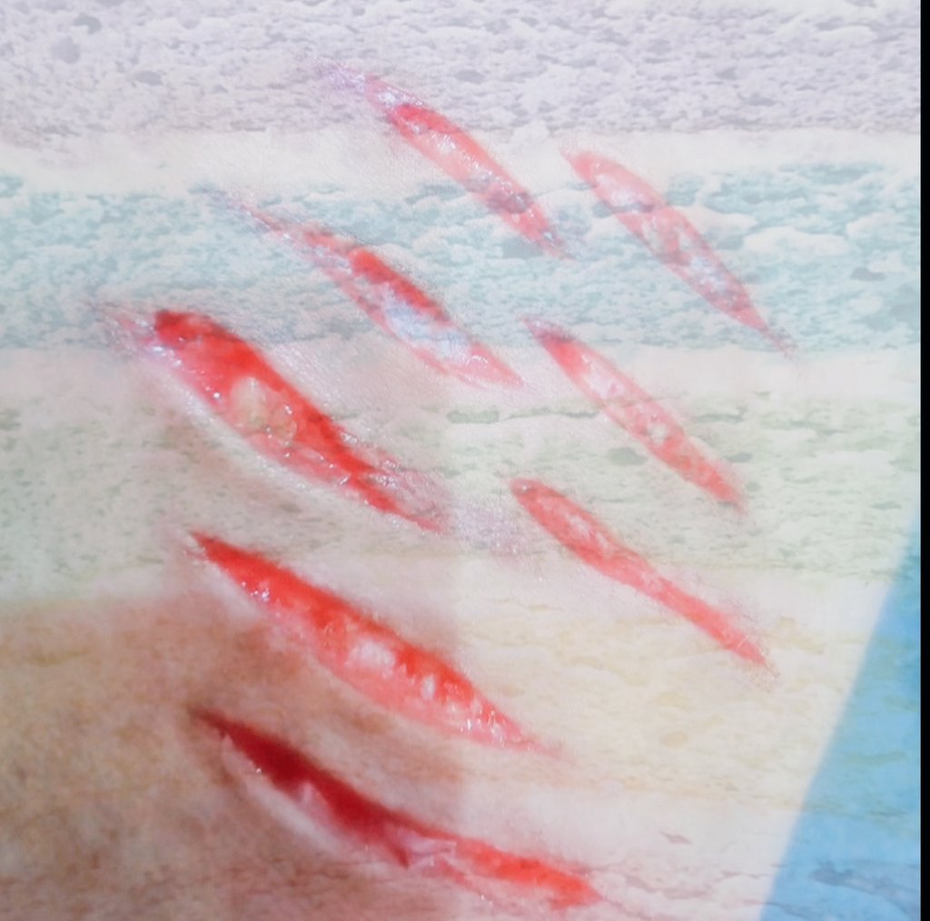 ᛝ Leah // SHEDTWT tweet media