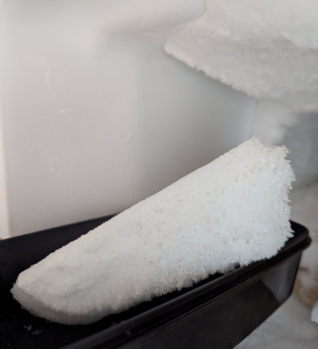 山上青空市道畑（RNみちこちゃん） tweet media