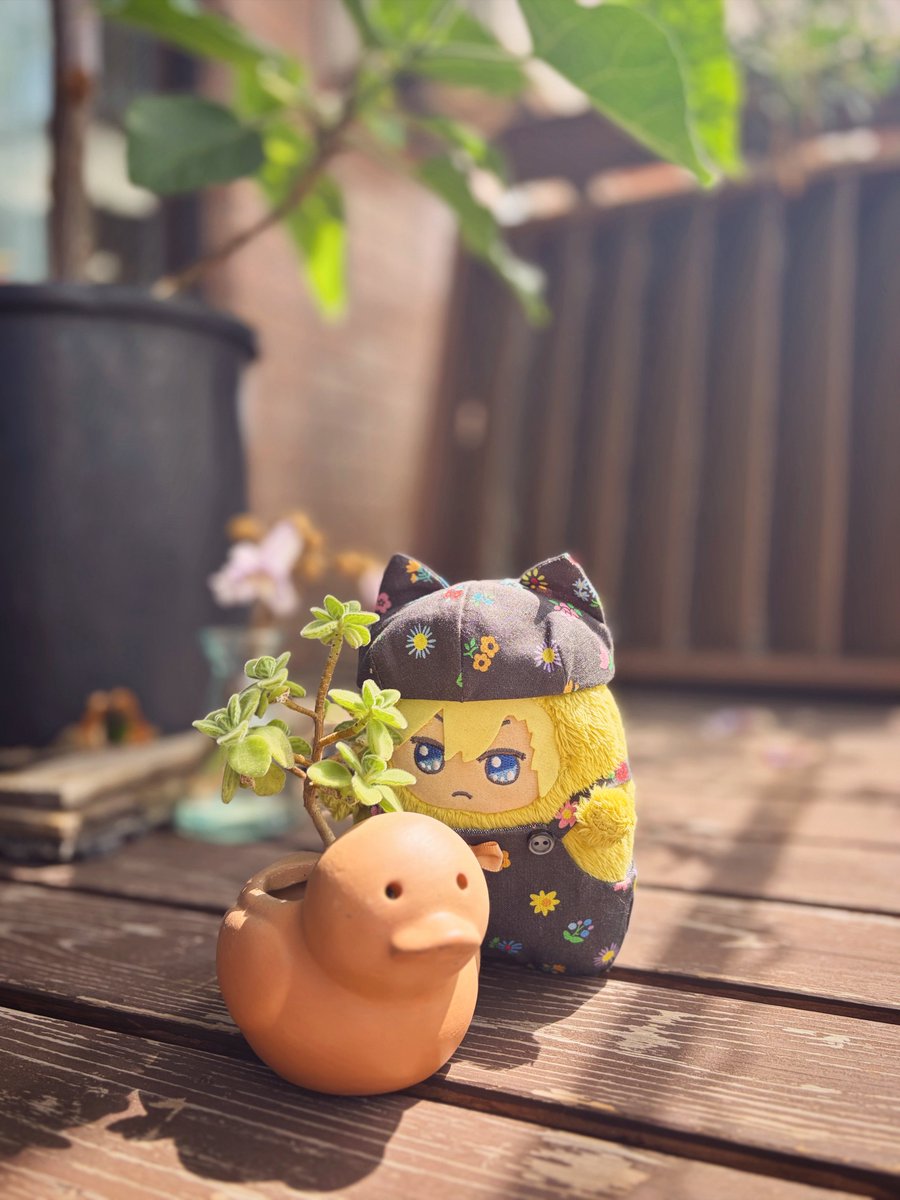 ご改築 tweet media