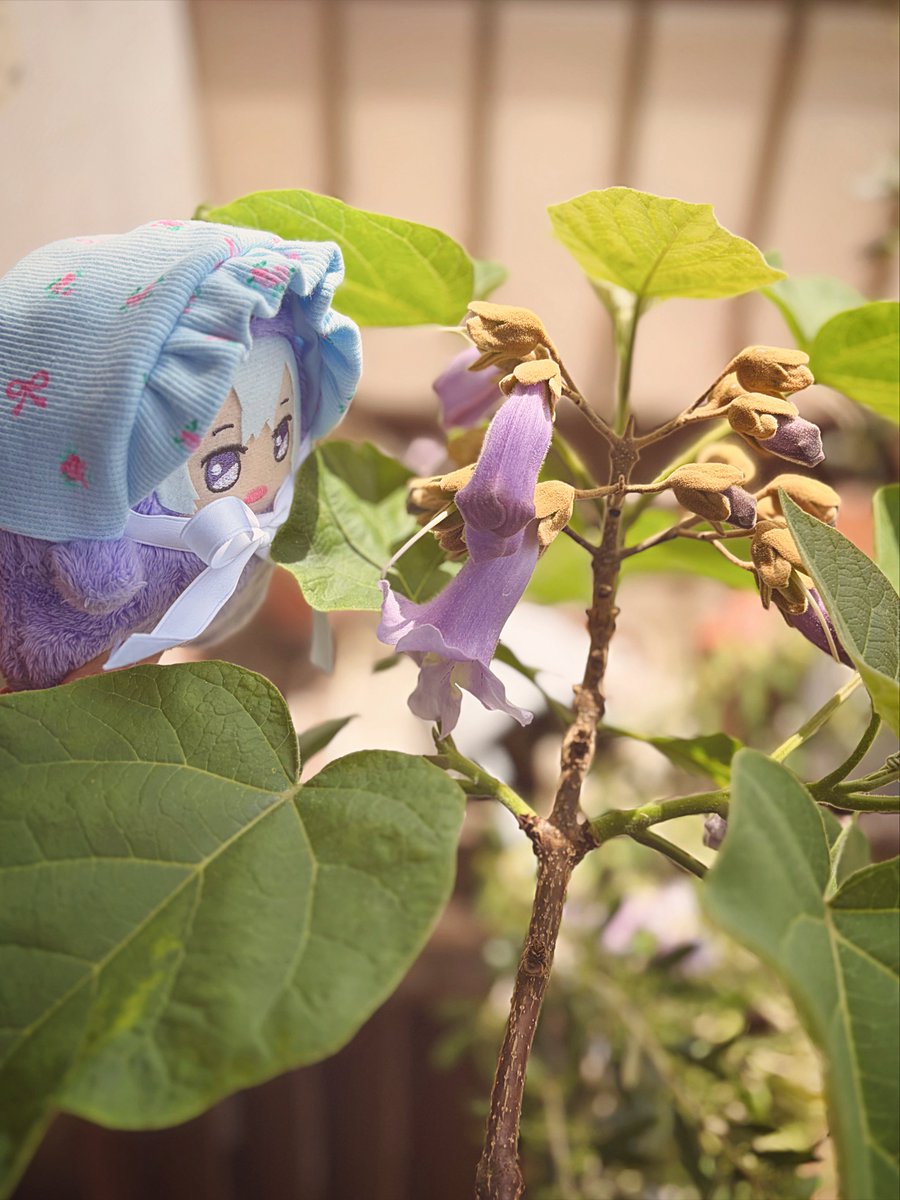 ご改築 tweet media