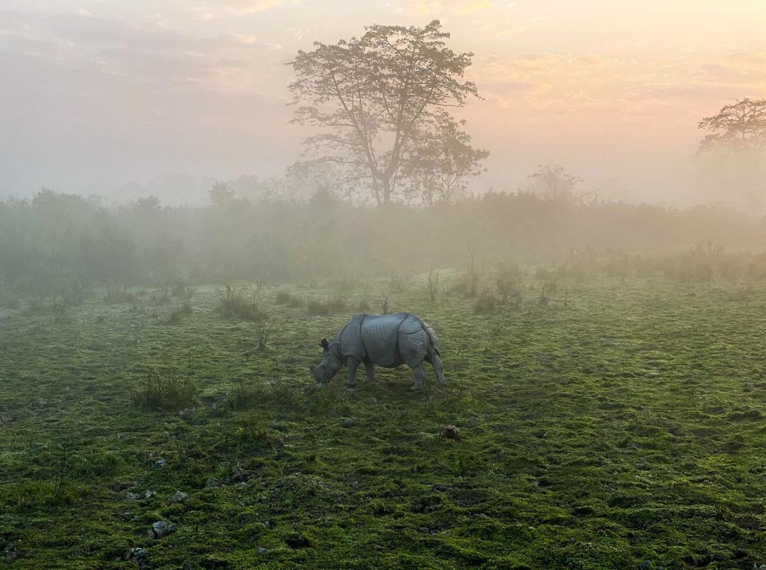 Temjen Imna Along tweet media