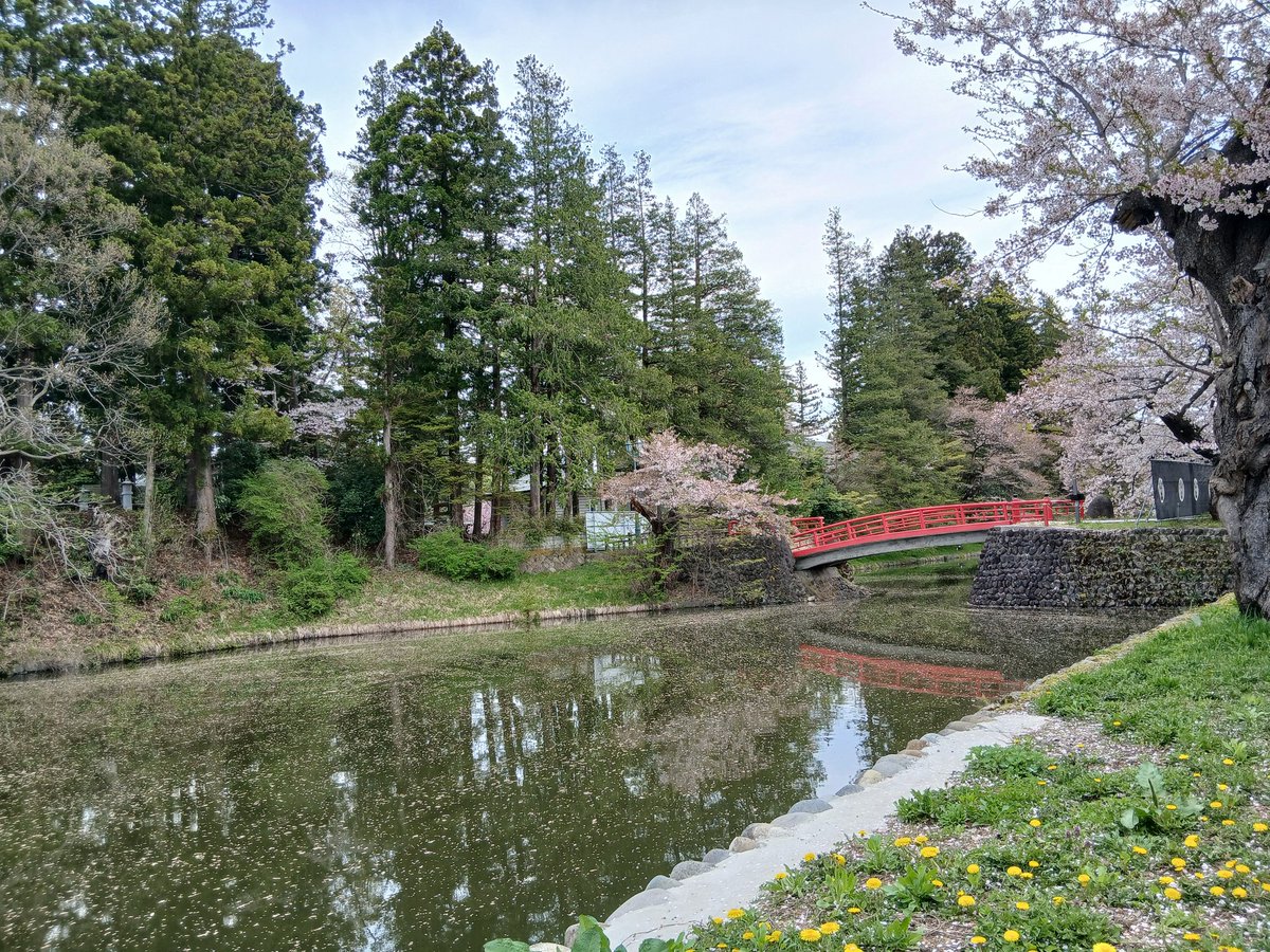 ごまぴー(ピーちゃん)🐈💨🐾 tweet media