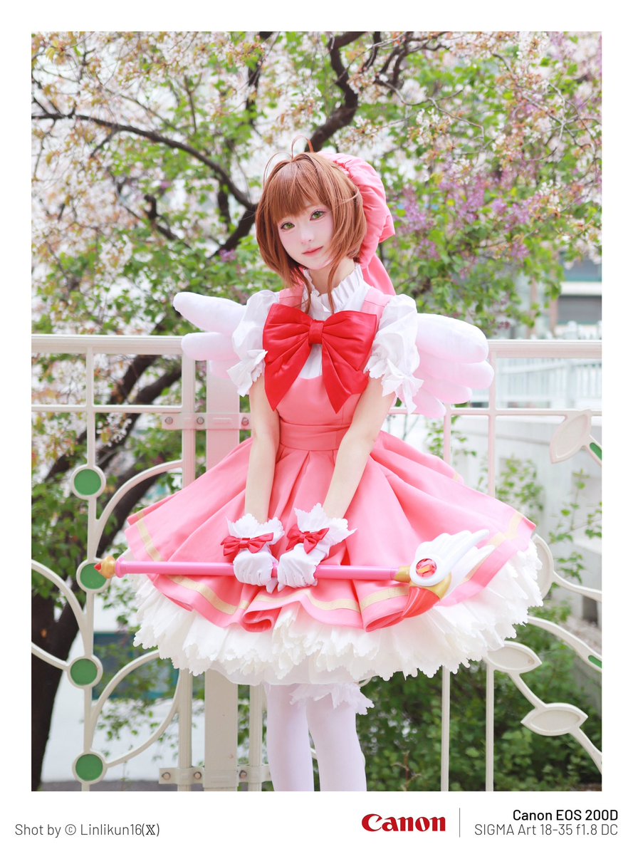 Kinomoto Sakura

#カードキャプターさくら