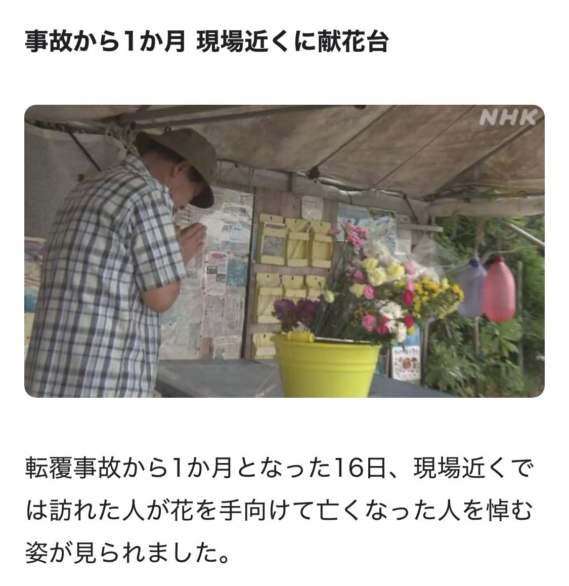 浅川透子 tweet media