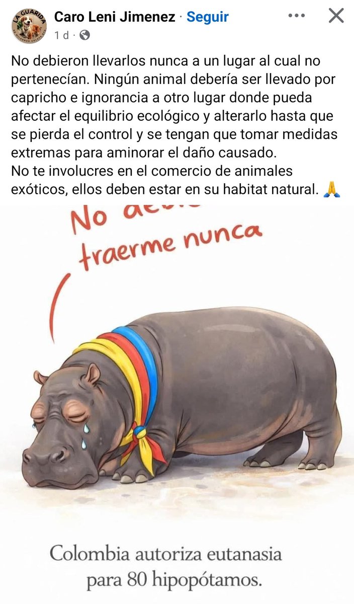 FRECDA tweet media