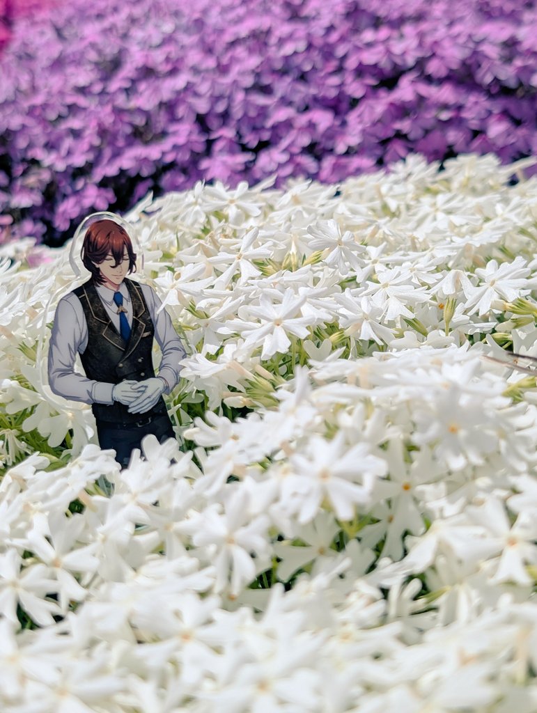 いよかん tweet media