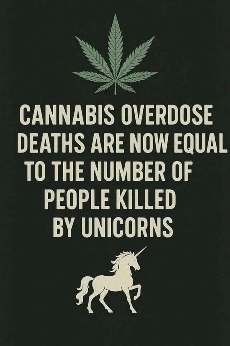 STONERS R US 🍃 tweet media