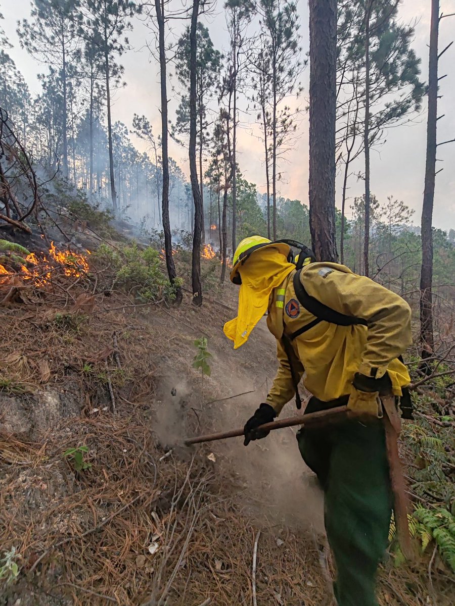 ConredGuatemala's tweet image. #SantaRosa Se reporta el 90% de control y 80% de liquidación del incendio registrado en finca Cerro Verde, camino hacia aldea San Juan Bosco, San Rafael Las Flores, Santa Rosa. Comunitarios y la Brigada de Respuesta Inmediata (BRI) realizaron las acciones en el área.