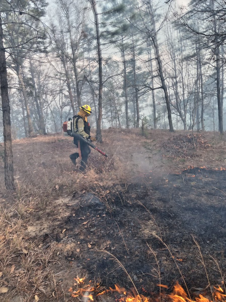 ConredGuatemala's tweet image. #SantaRosa Se reporta el 90% de control y 80% de liquidación del incendio registrado en finca Cerro Verde, camino hacia aldea San Juan Bosco, San Rafael Las Flores, Santa Rosa. Comunitarios y la Brigada de Respuesta Inmediata (BRI) realizaron las acciones en el área.