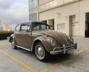 Paulo Antonio Papini. Advogado, Professor e Mestre tweet media