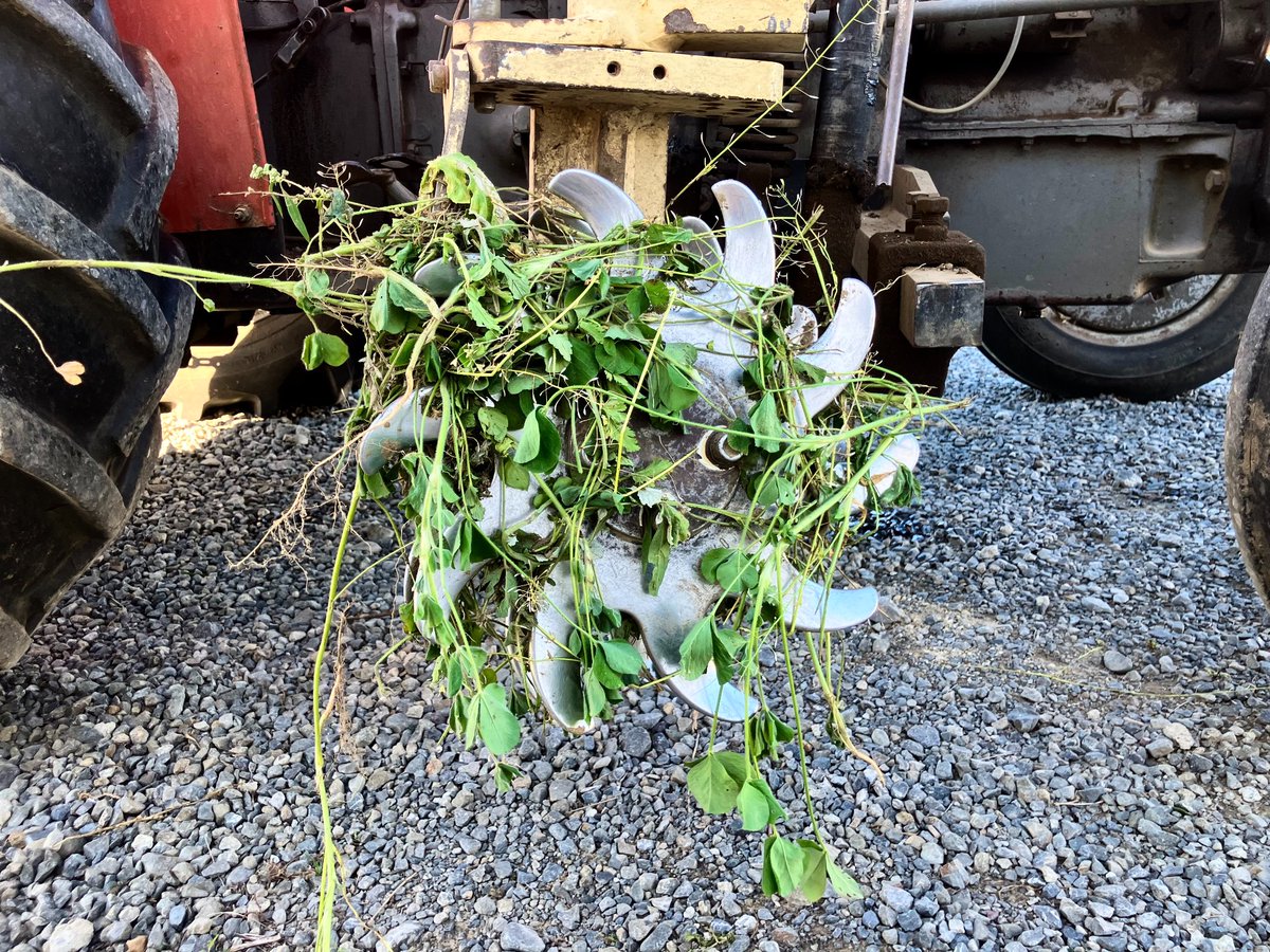 D E V O T U S tweet media