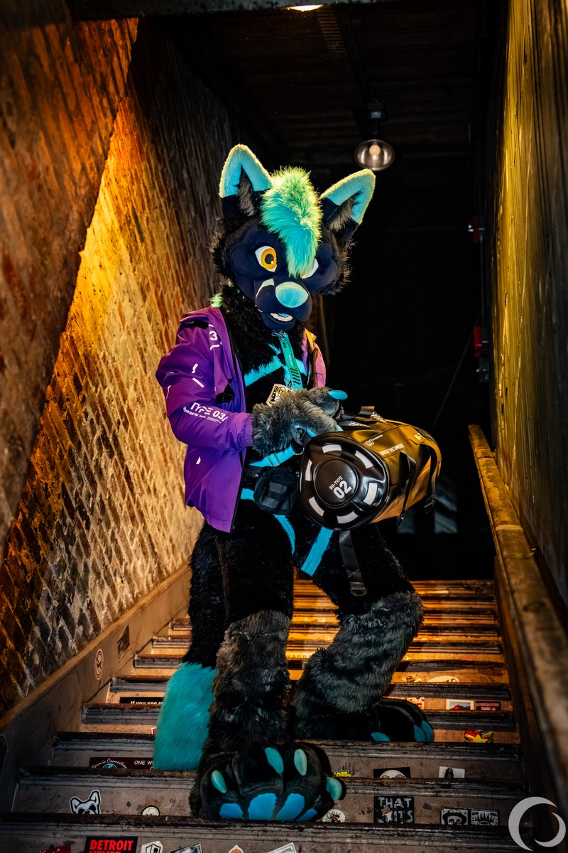awwufus's tweet photo. Running some heists, and it looks like I got the loot on this #FursuitFriday . Find some of the foxy shennagian pictures over on bsky~ https://t.co/aTKffKwbkU