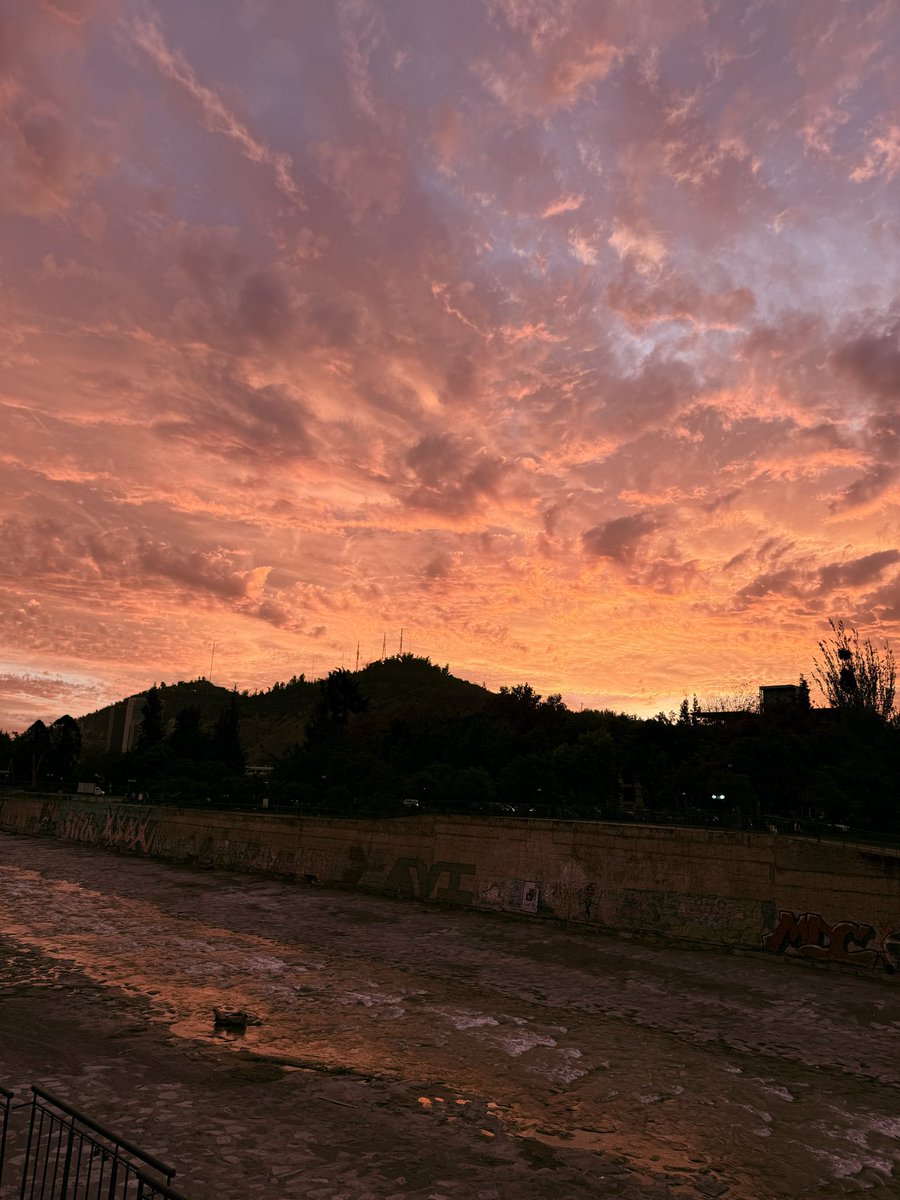 Francisca Sánchez tweet media
