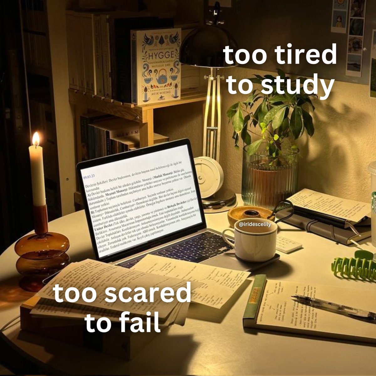 Novelle art. tweet media