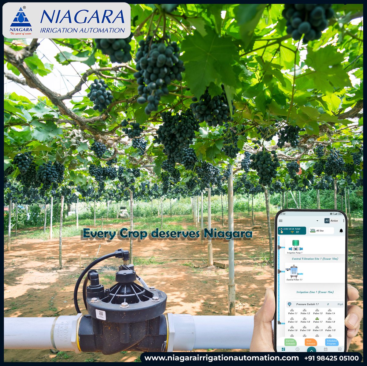 NiagaraCbe's tweet photo. https://t.co/Mp0XuRhslm