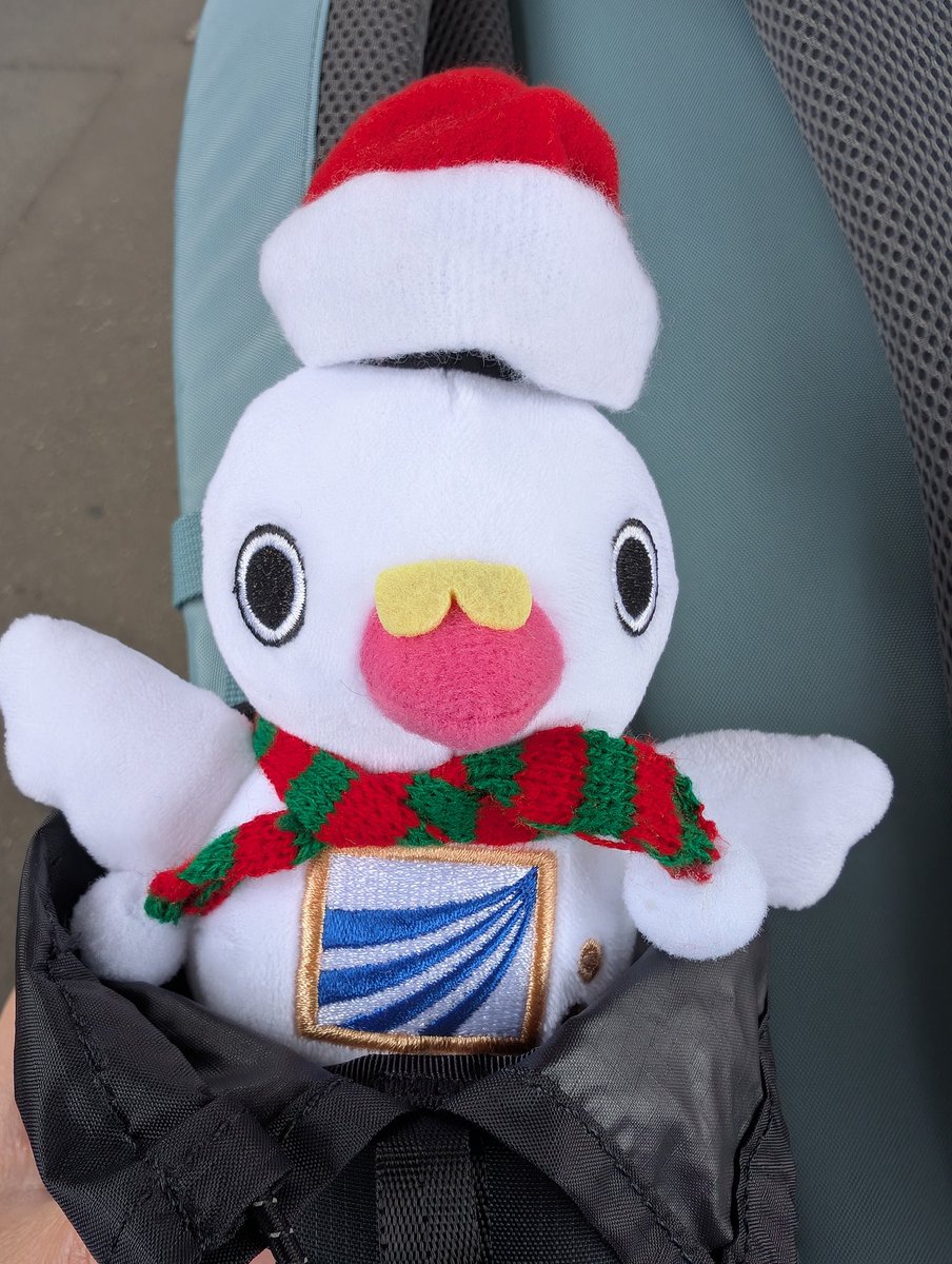 杉本崇/Takashi SUGIMOTO tweet media