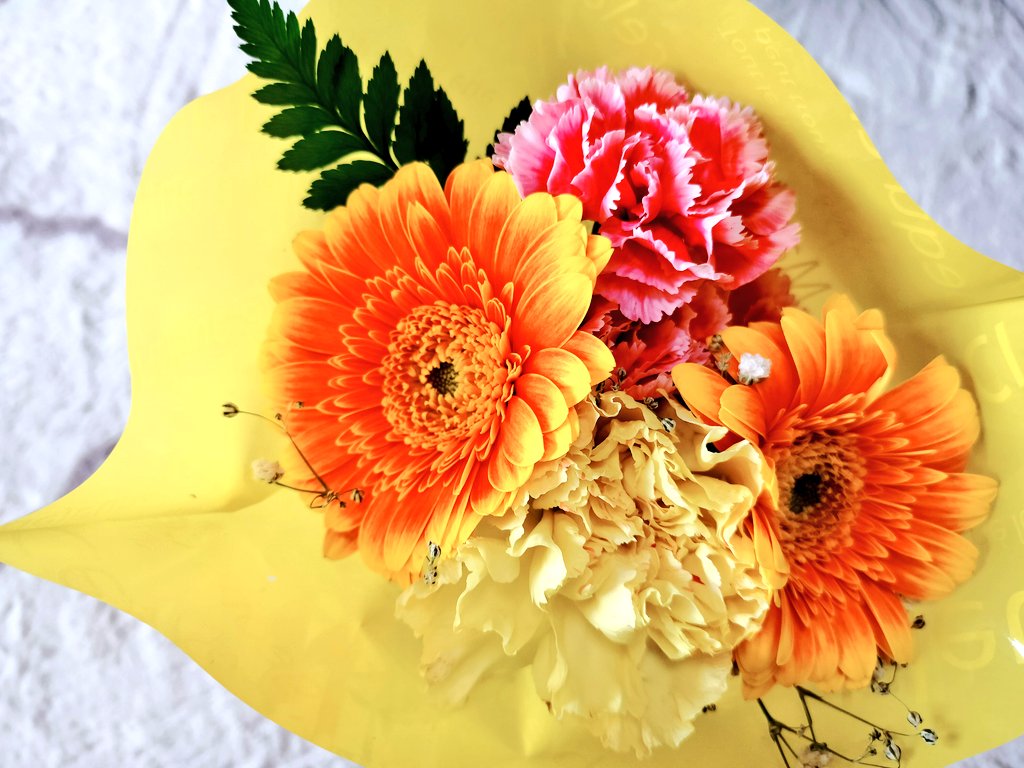 マイマイ tweet media