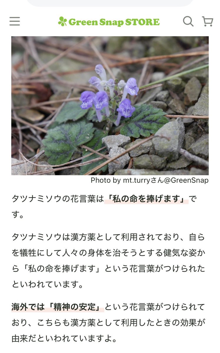 まんちゃん tweet media