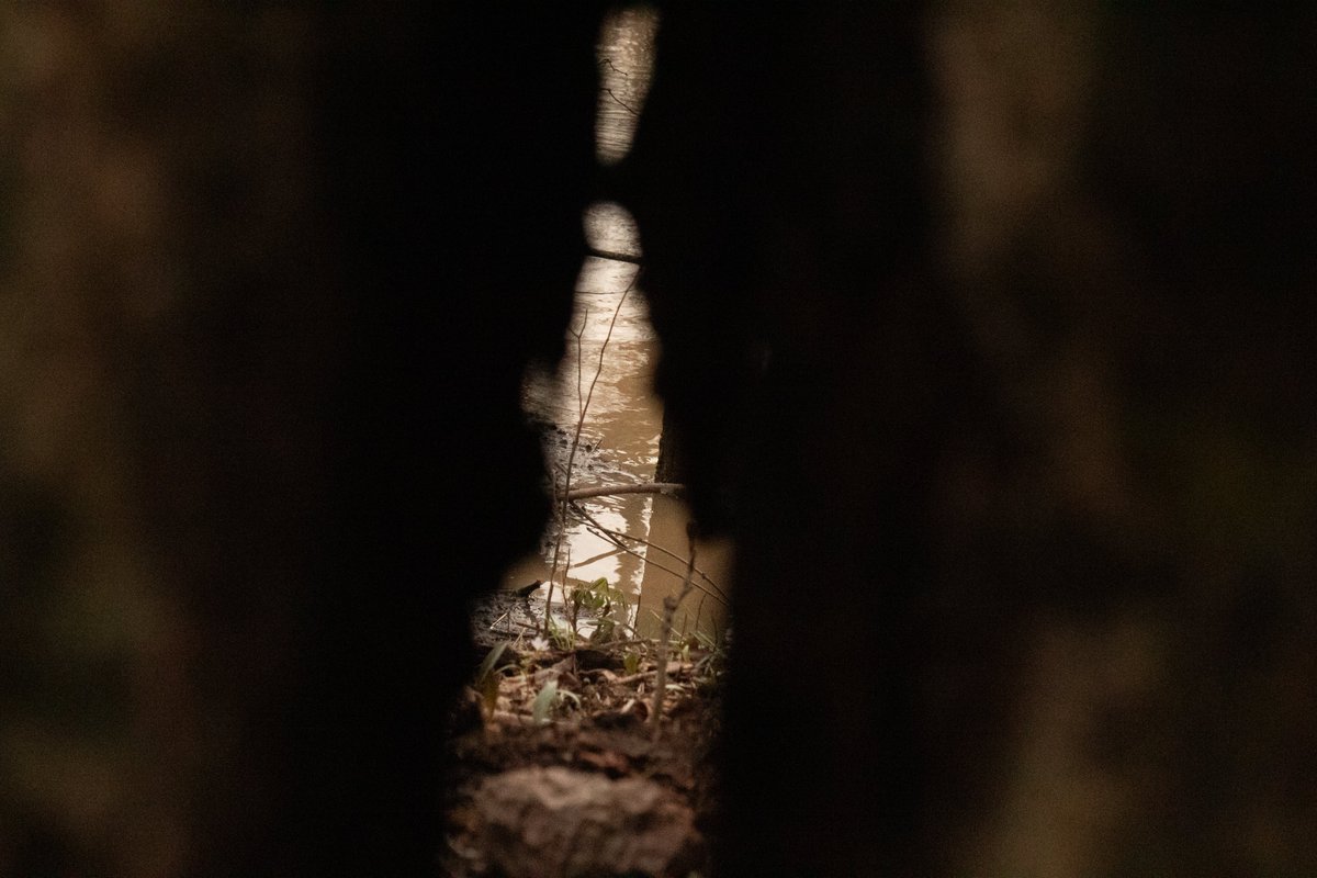 ONUArtandDesign's tweet image. It’s #FoundationFriday! We're celebrating the work created this week by our new students in drawing, 3D design, and photography. #proudofourstudents  #youvegotthis