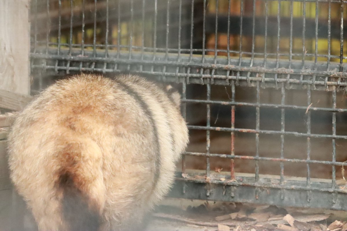 和宏(写真置き場) (@kazuhiropk) on Twitter photo 