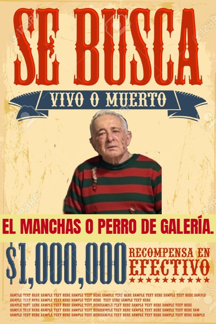 GUSTAVO GUZMÁN tweet media