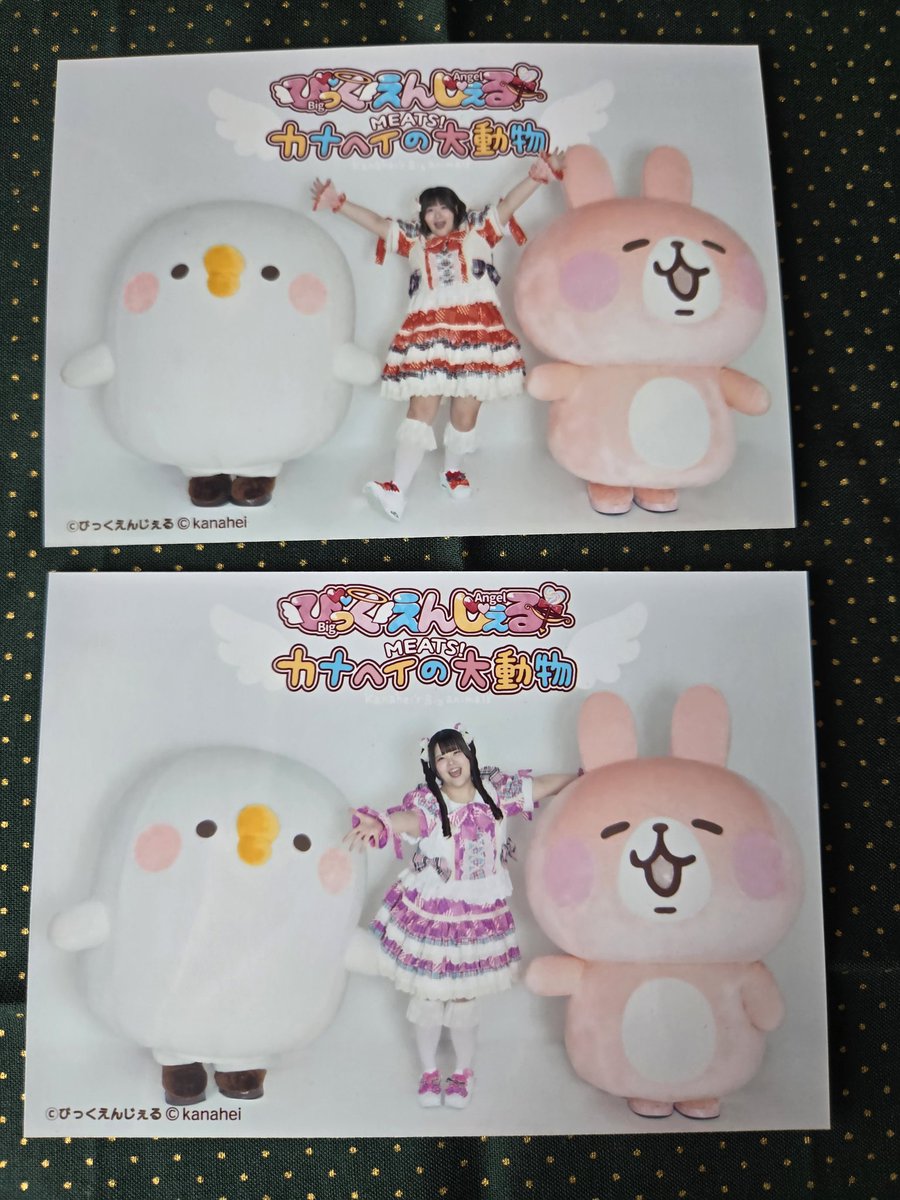 🍀あんちゃん🍀 tweet media