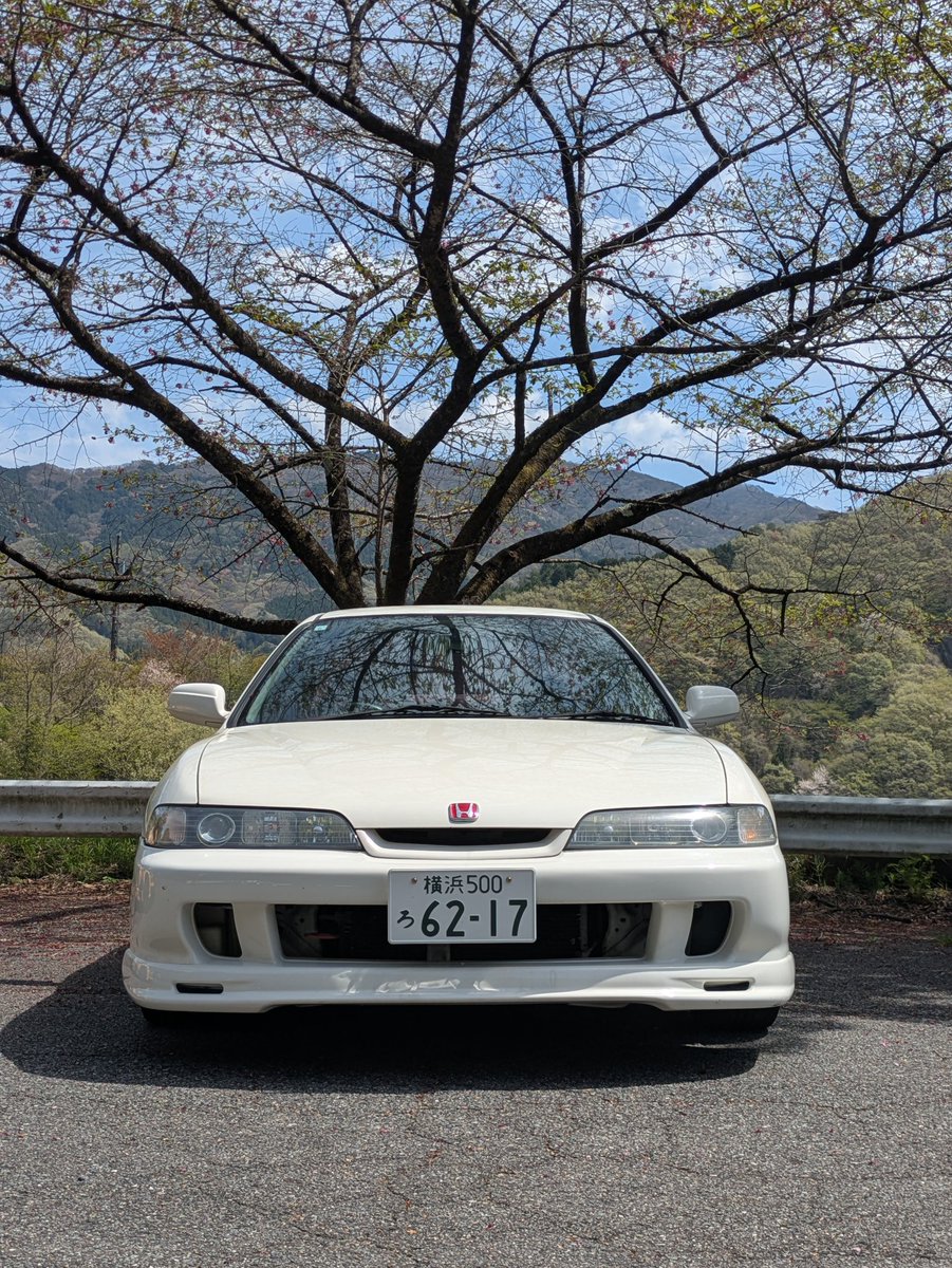 たつき 。 tweet media