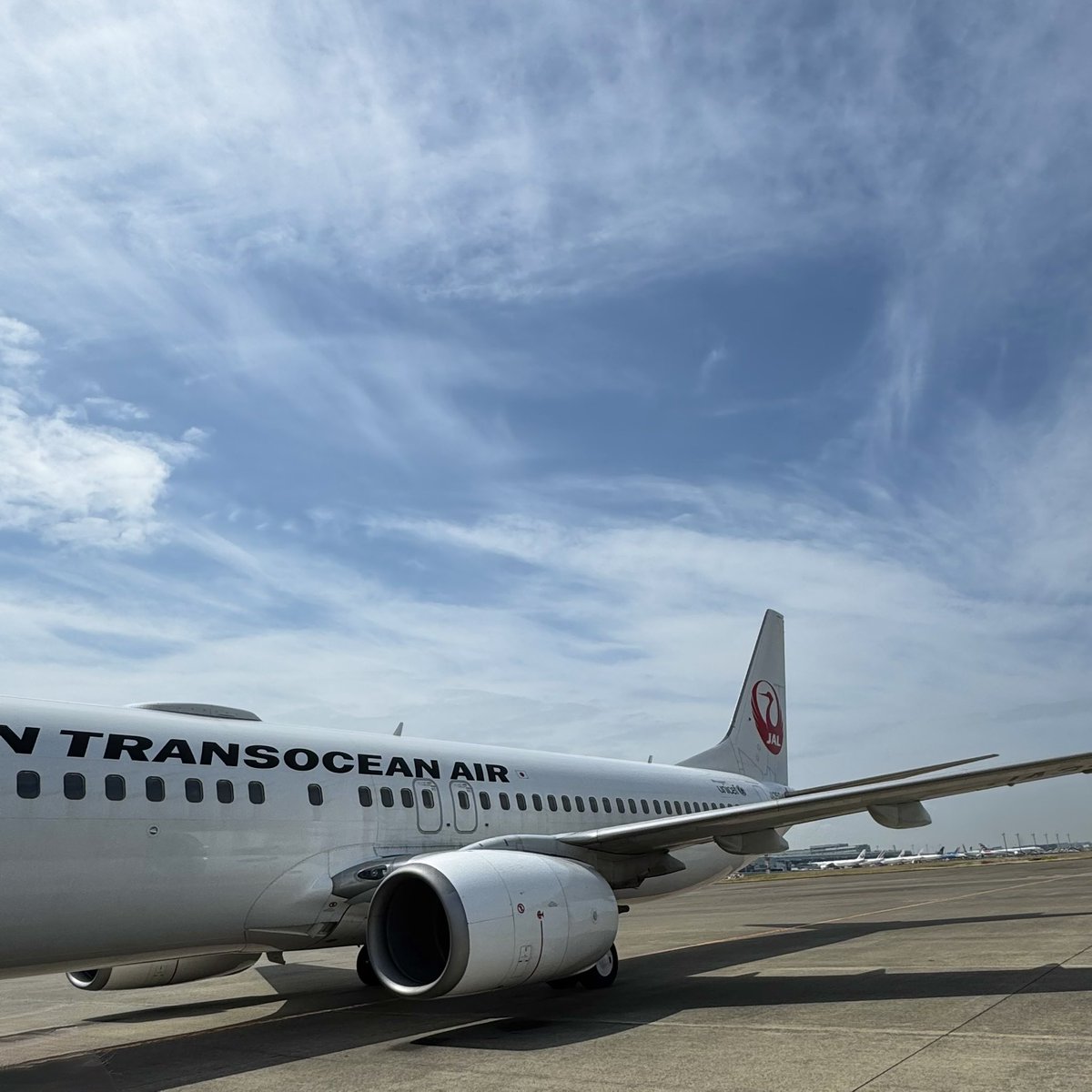 777しろたん✈︎ tweet media