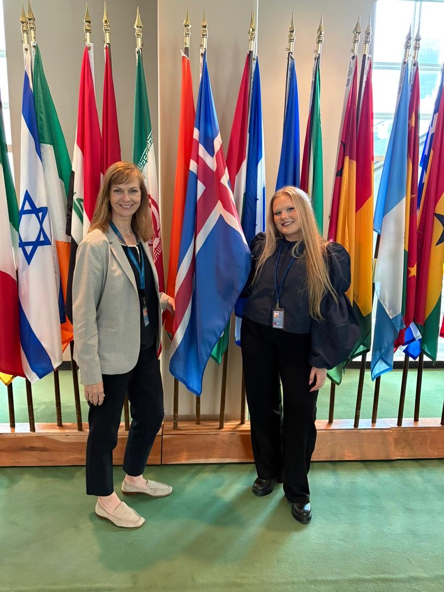 IcelandUN's tweet photo. 🇮🇸 was represented at ECOSOC Youth Forum 2026 🇺🇳 by youth rep. Ms. Hjördís Freyja Kjartansdóttir. The Forum brought together young people, Member States, the UN system, and partners to exchange ideas, showcase solutions, and strengthen youth engagement on SDGs. https://t.co/pVRjwlVEP9