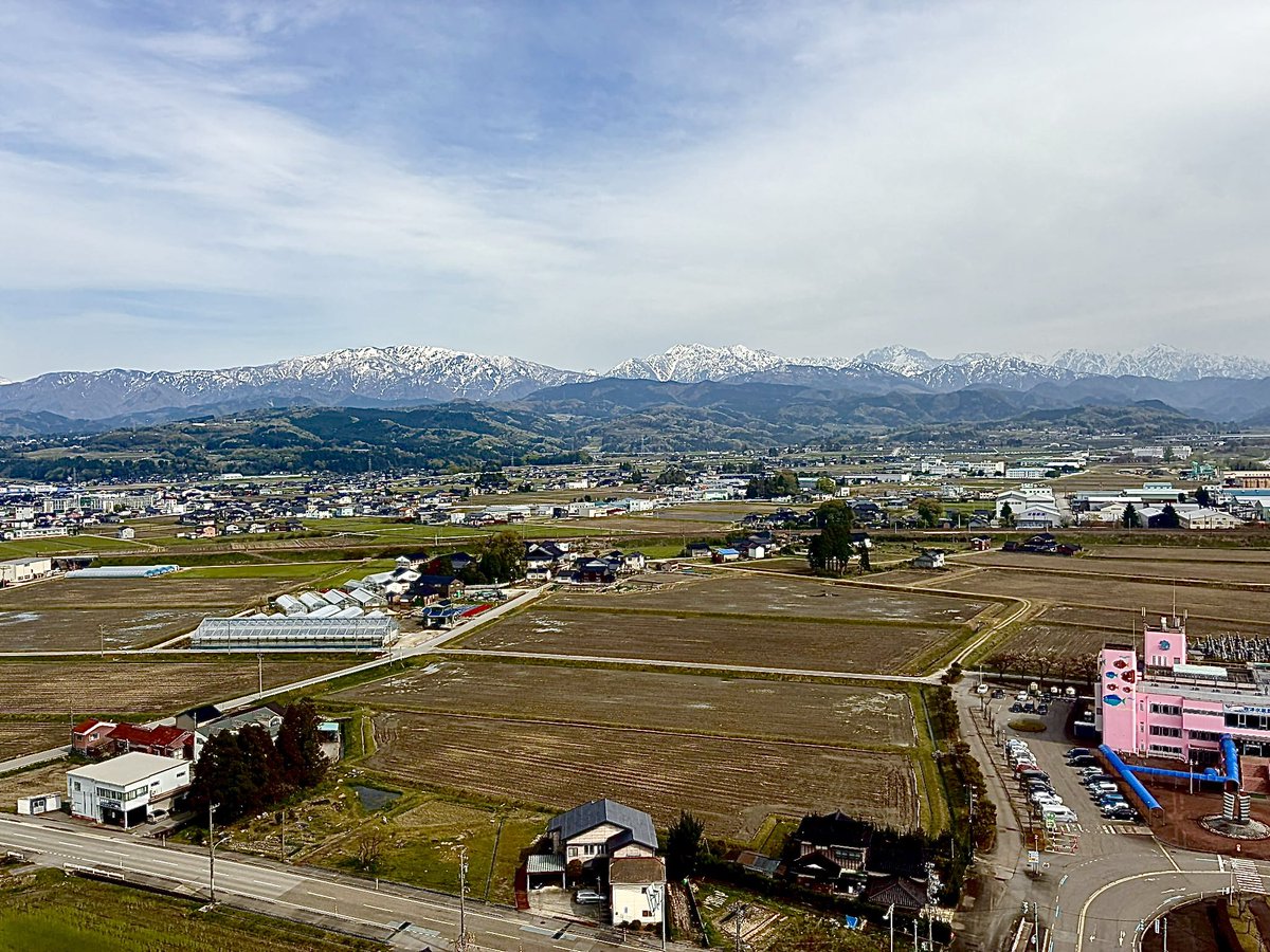 石川典行 tweet media