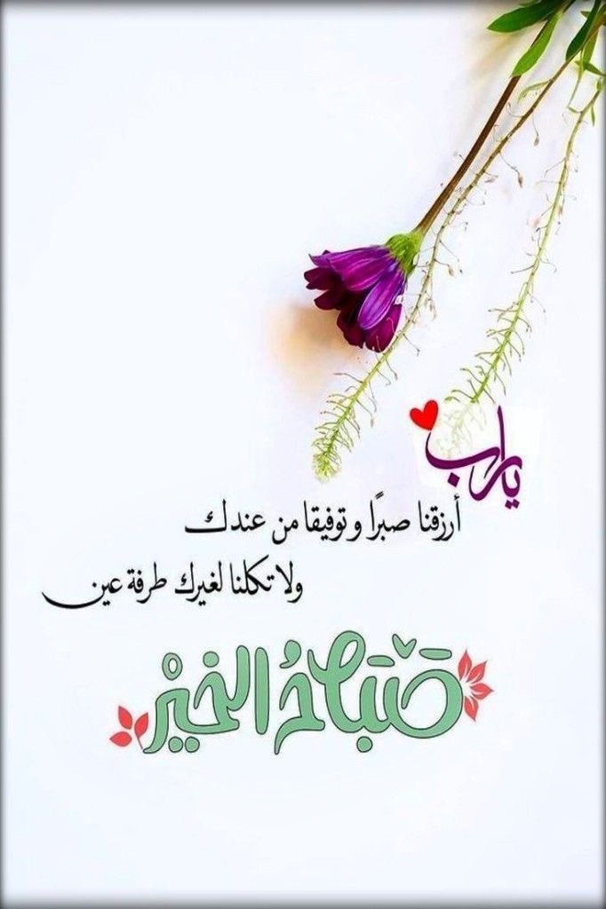 sh8033's tweet photo. .
.

يارب 
أرزقنا صبراً وتوفيقاً من عندك 
ولا تكلنا لغيرك طرفة عين . . "

#صباح_الخير ✨🌿 https://t.co/OIAqaFls7Y