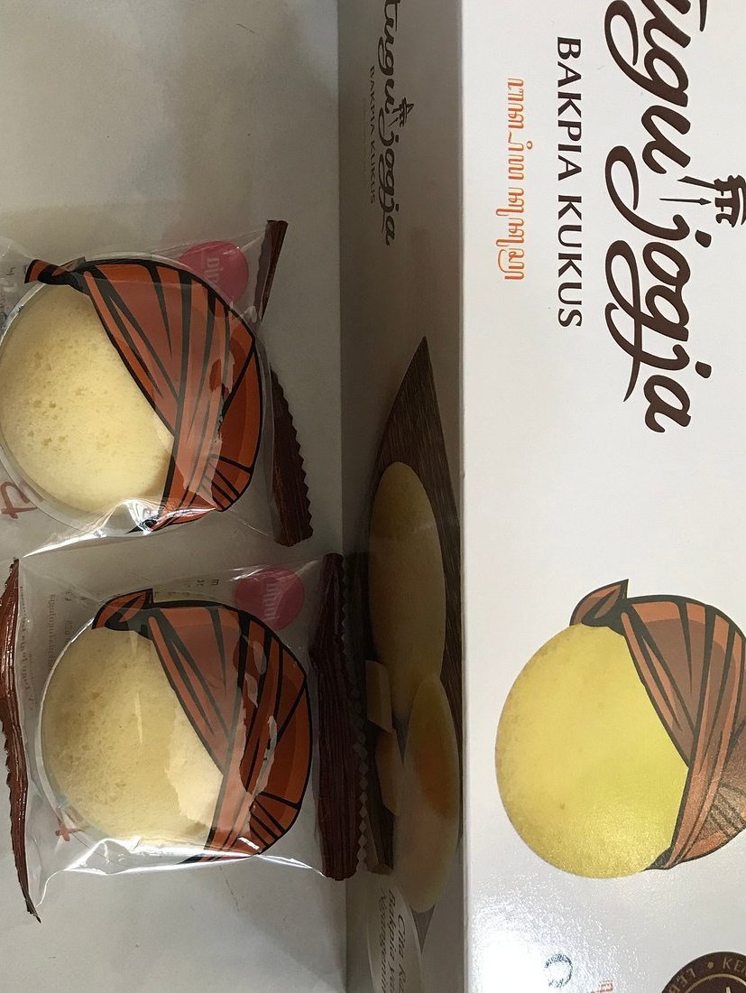 akun hewan | tapi bukan tweet media