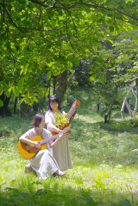 yomikica star tweet media