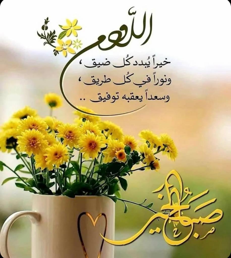 Hamood M Al Bajjash Al Hajri (@hmbhajri) on Twitter photo 