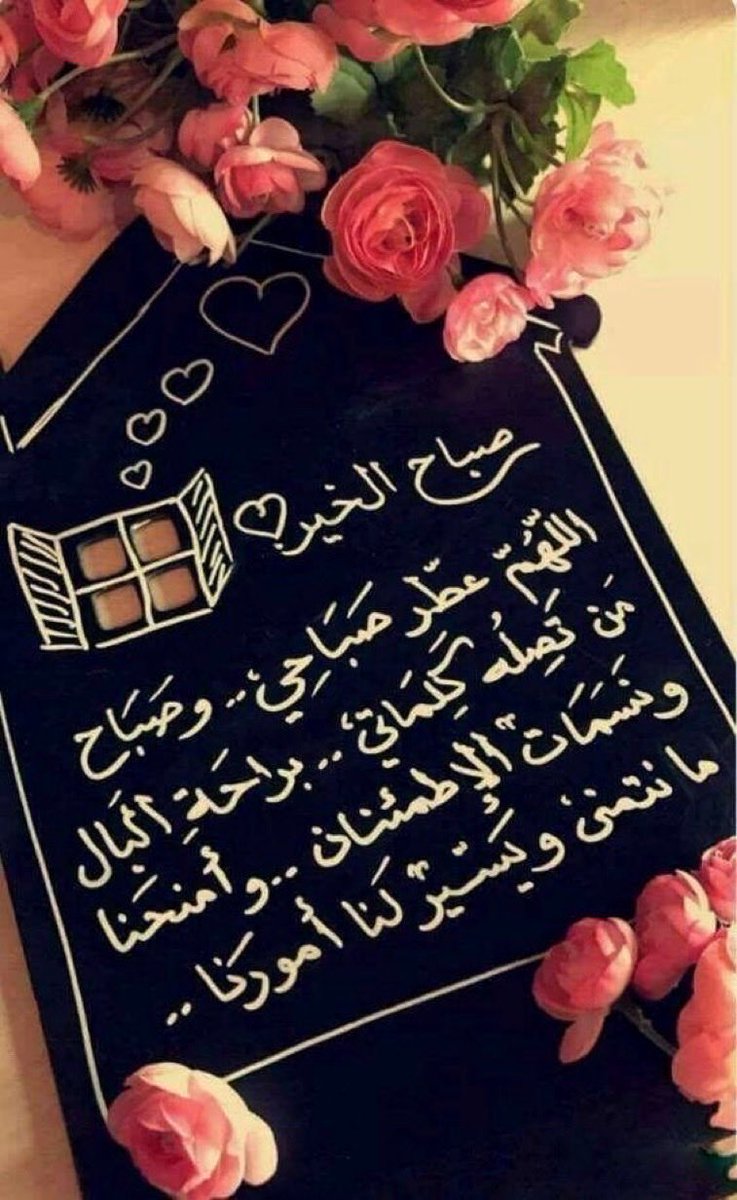 حمد الشحي tweet media