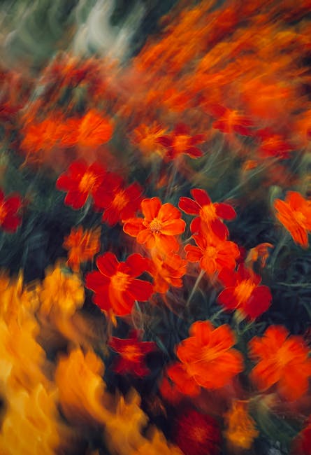 Mary Dominguez tweet media