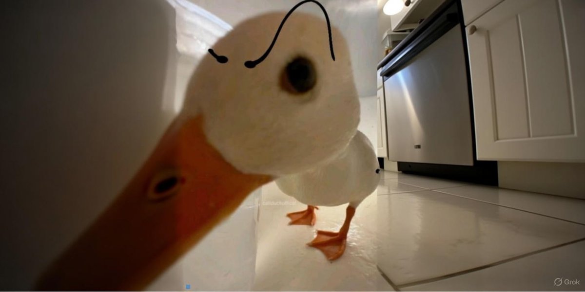 Alex Zander⚜️ tweet media