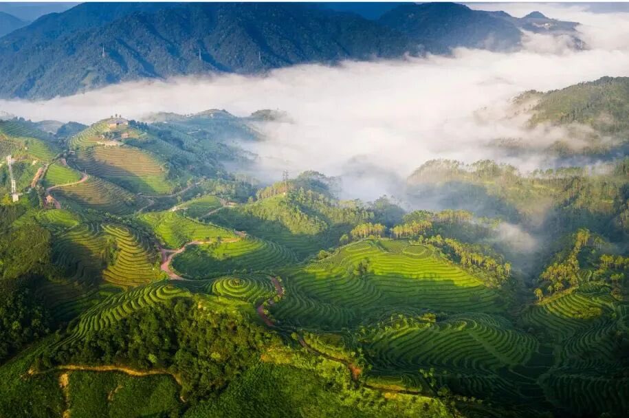 evanism tweet media
