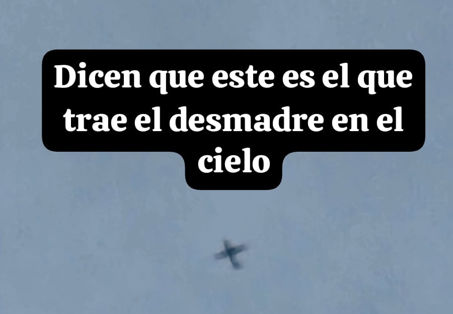 Eduardo Ortega ®️ tweet media