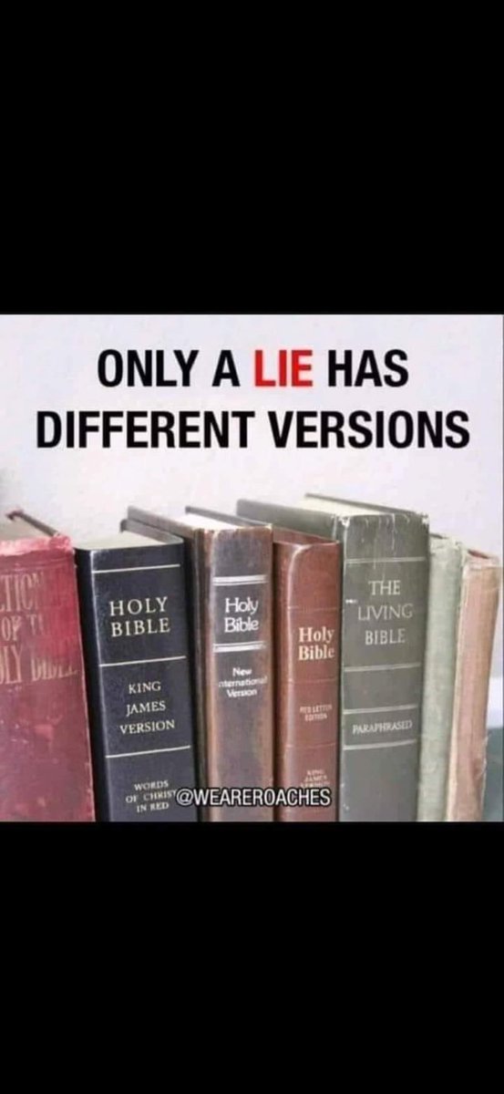 Fear The Spear 🍢🔥 tweet media