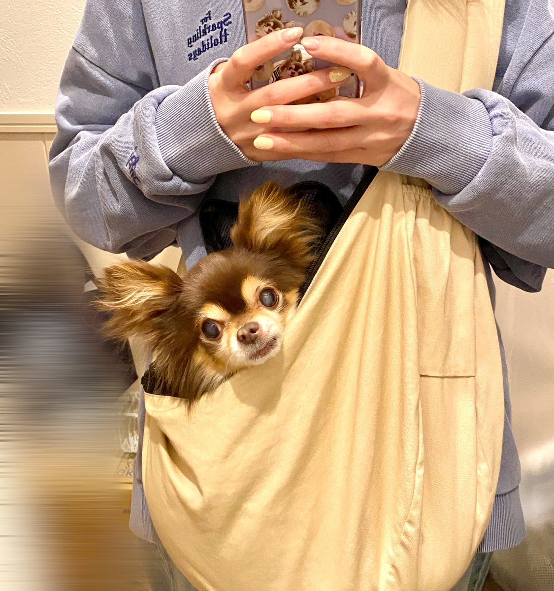 三尾じゅん太 tweet media