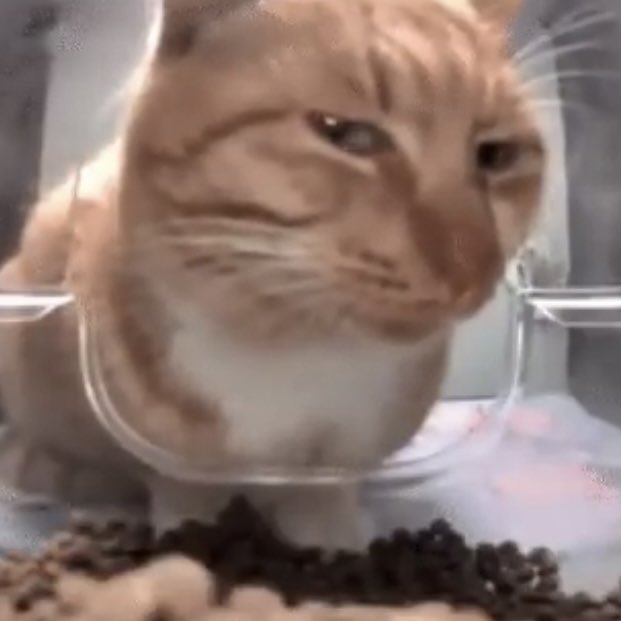 연봉5000아줌마 tweet media