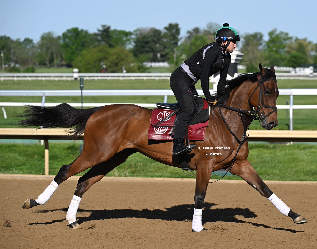 francesjkaron's tweet photo. Mrs. Astor (Lookin At Lucky) is hard to miss when she's on the track 👀 The Augustin Stables homebred trained by Jonathan Thomas looks to add a fourth G3 win to her resume in the Bewitch on closing day. https://t.co/WUgncMQx2R