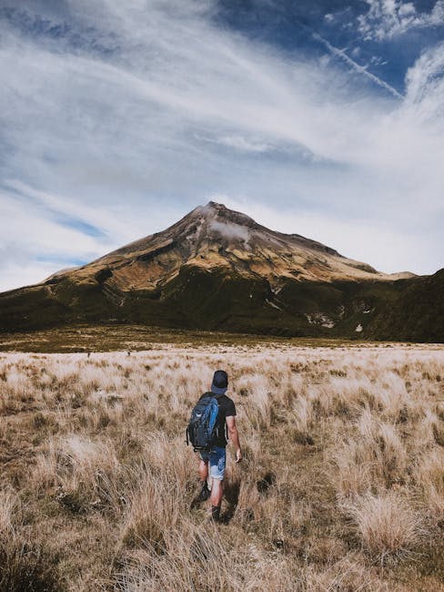 John Ryan tweet media