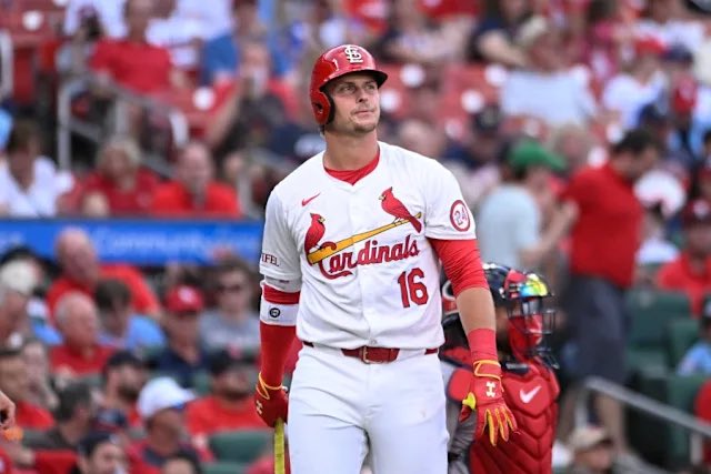 Cardinals Muse tweet media