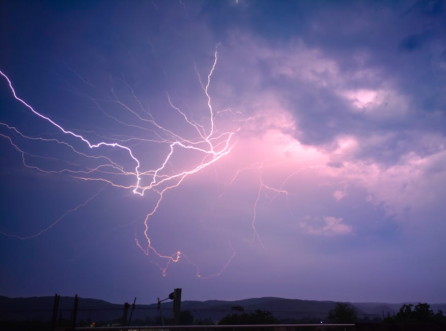 Briana Wood tweet media